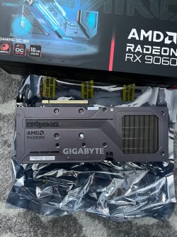 IMG_4462.jpeg IMG_4462.jpeg