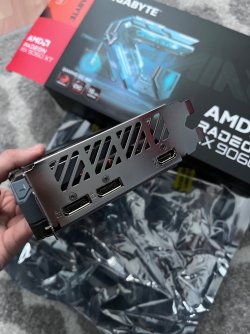 IMG_4463.jpeg IMG_4463.jpeg