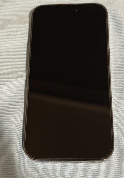 IMG_0017c.jpeg IMG_0017c.jpeg