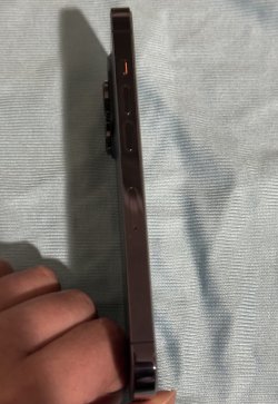 IMG_0018c.jpeg IMG_0018c.jpeg