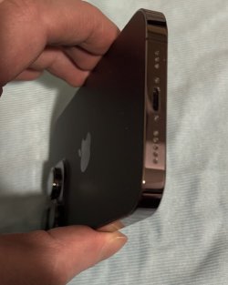 IMG_0020c.jpeg IMG_0020c.jpeg