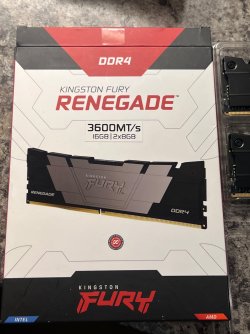 IMG_1368.jpeg IMG_1368.jpeg