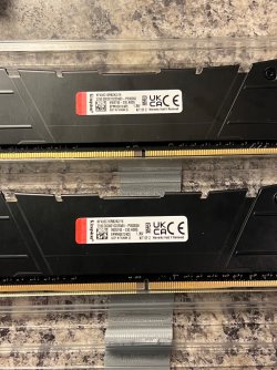 IMG_1366.jpeg IMG_1366.jpeg