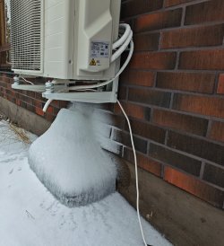 IMG_20260226_160801~2.jpg IMG_20260226_160801~2.jpg