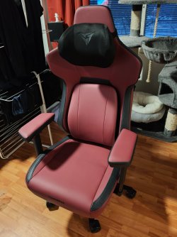 IMG20260227180120.jpg IMG20260227180120.jpg