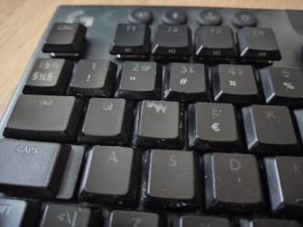 P_20260301_153225.jpg P_20260301_153225.jpg