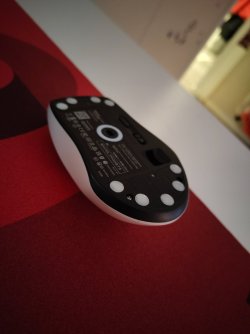 IMG_20260301_173243304.jpg IMG_20260301_173243304.jpg