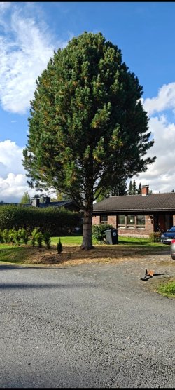 Screenshot_2026-03-02-12-55-42-688_com.whatsapp.jpg Screenshot_2026-03-02-12-55-42-688_com.whatsapp.jpg