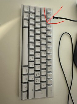 IMG_1786.jpeg IMG_1786.jpeg