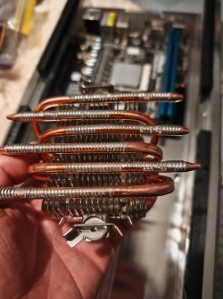 IMG_20260316_192811407.jpg IMG_20260316_192811407.jpg