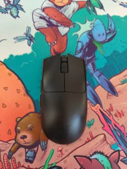 IMG_20260321_160728117.jpg IMG_20260321_160728117.jpg