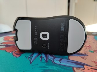 IMG_20260321_160750591.jpg IMG_20260321_160750591.jpg