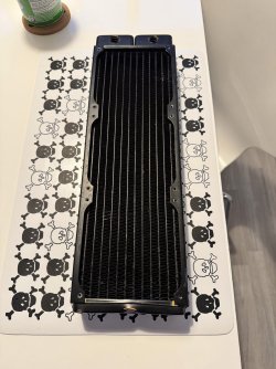 IMG_2221.jpeg IMG_2221.jpeg