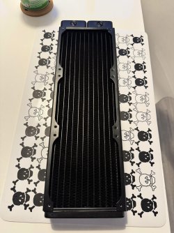 IMG_2222.jpeg IMG_2222.jpeg