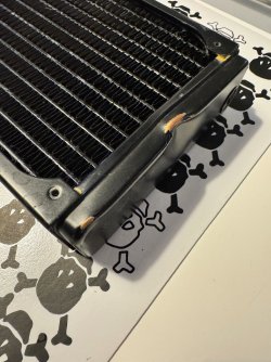 IMG_2223.jpeg IMG_2223.jpeg