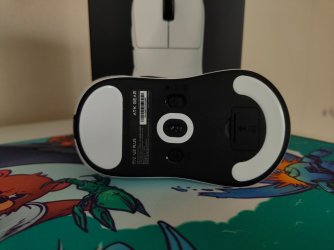 IMG_20260325_143623110.jpg IMG_20260325_143623110.jpg