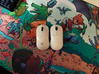 IMG_20260325_122053896.jpg IMG_20260325_122053896.jpg