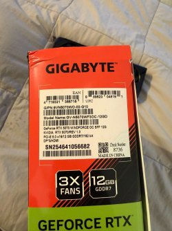 IMG_0781.JPEG IMG_0781.JPEG