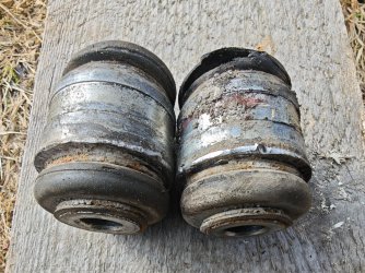 IMG_20260328_141806.jpg IMG_20260328_141806.jpg