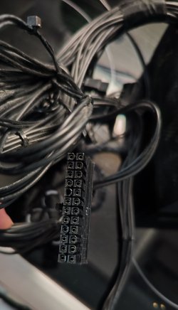 IMG_20260226_143249.jpg IMG_20260226_143249.jpg