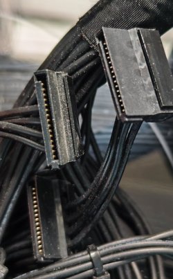 IMG_20260226_143509.jpg IMG_20260226_143509.jpg