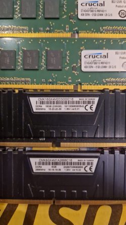 WhatsApp Image 2026-03-31 at 20.17.56.jpeg