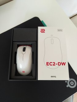 IMG_20260401_165537198.jpg IMG_20260401_165537198.jpg