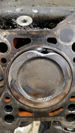 20260224_131900.jpg 20260224_131900.jpg