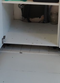 Screenshot_2026-04-06-10-45-18-55_965bbf4d18d205f782c6b8409c5773a4.jpg Screenshot_2026-04-06-10-45-18-55_965bbf4d18d205f782c6b8409c5773a4.jpg