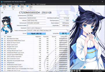 Crucial MX500 250GB Sata M.2.png