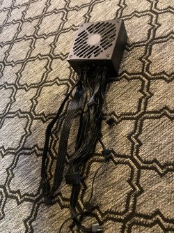 IMG_4595.jpeg IMG_4595.jpeg