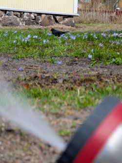 WhatsApp Image 2026-04-18 at 15.19.47.jpeg