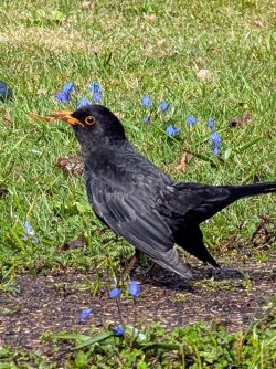 WhatsApp Image 2026-04-18 at 15.20.12.jpeg