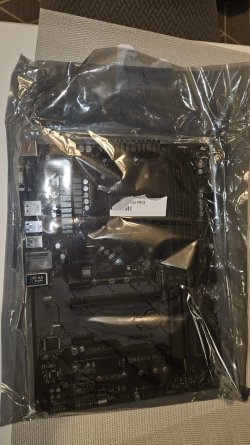 WhatsApp Image 2026-01-19 at 16.42.24 (4).jpeg