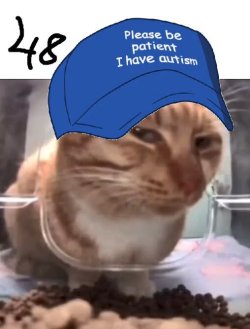 2063ce007a3d5b33.jpg