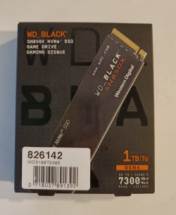 1000079107.jpg