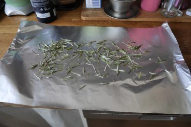 _1390239.JPG