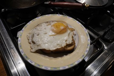 _1390329.JPG