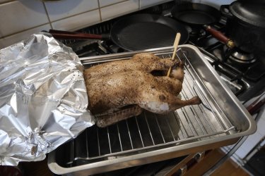 _1390346.JPG