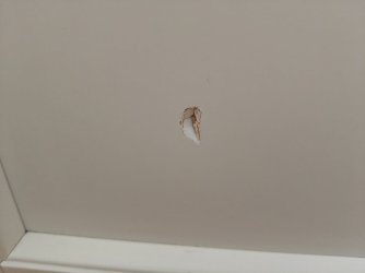 IMG20260510132032.jpg
