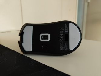 IMG_20260511_201233844.jpg