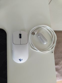 IMG_20260515_180908871.jpg