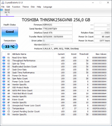 Toshiba256m2.PNG