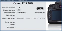 Report_Canon EOS 70D_SN_113026000673_ScreenShot_.jpg