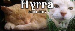 Hyrrä_2004-2017_s.jpg