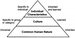 Three-levels-of-human-mental-programming-adopted-from-Hofstede-9.pbm.png