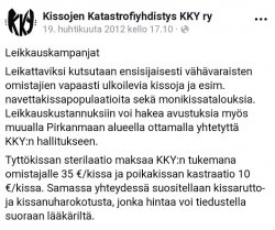 kissaleikkaus.jpg