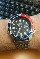 SKX009.JPG