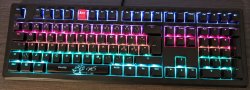 Ducky Shine 5 RGB.jpg