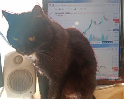 dax30_Black_Cat_estimation_28022020.jpg